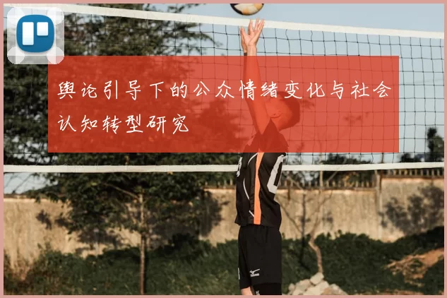 舆论引导下的公众情绪变化与社会认知转型研究