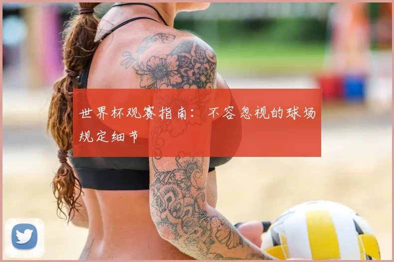 世界杯观赛指南:不容忽视的球场规定细节