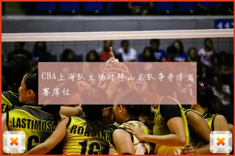 CBA上海队主场对阵山东队争夺季后赛席位