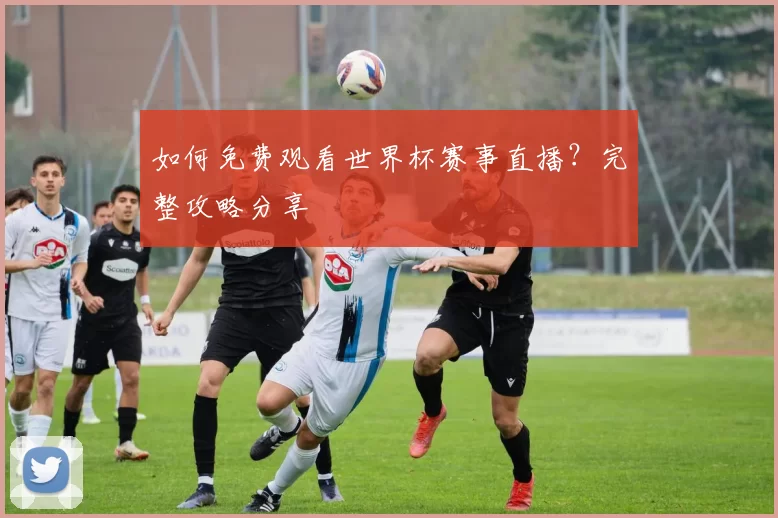 如何免费观看世界杯赛事直播？完整攻略分享