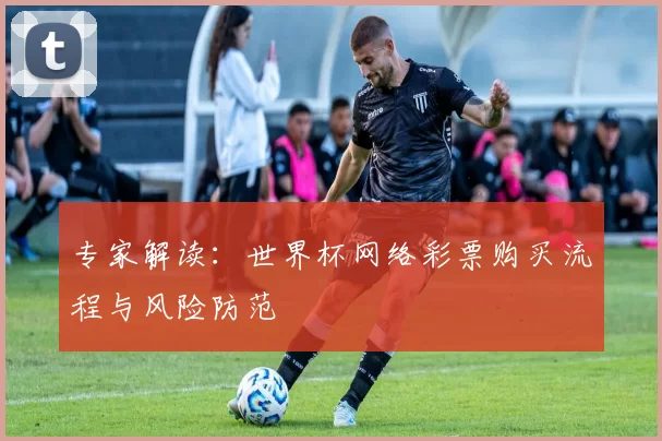 专家解读：世界杯网络彩票购买流程与风险防范