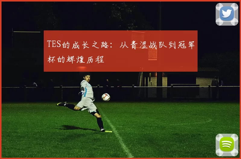 TES的成长之路:从青涩战队到冠军杯的辉煌历程