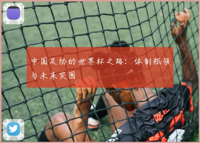 中国足协的世界杯之路:体制瓶颈与未来突围