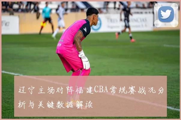 辽宁主场对阵福建CBA常规赛战况分析与关键数据解读