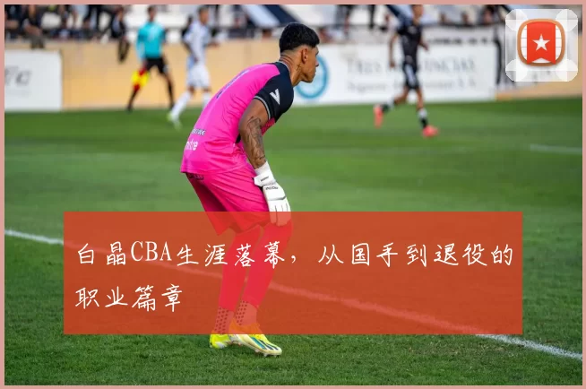 白晶CBA生涯落幕，从国手到退役的职业篇章