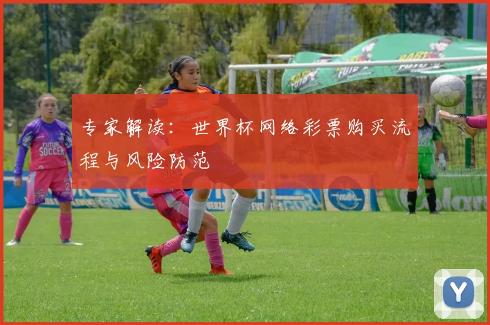 专家解读：世界杯网络彩票购买流程与风险防范