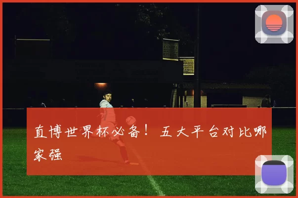直博世界杯必备!五大平台对比哪家强