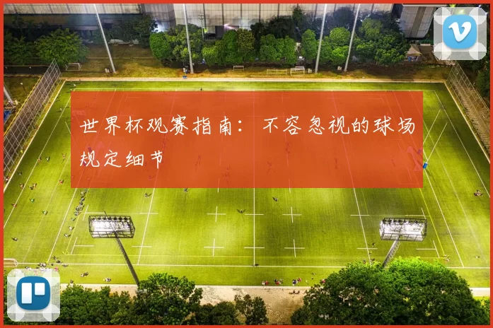 世界杯观赛指南：不容忽视的球场规定细节