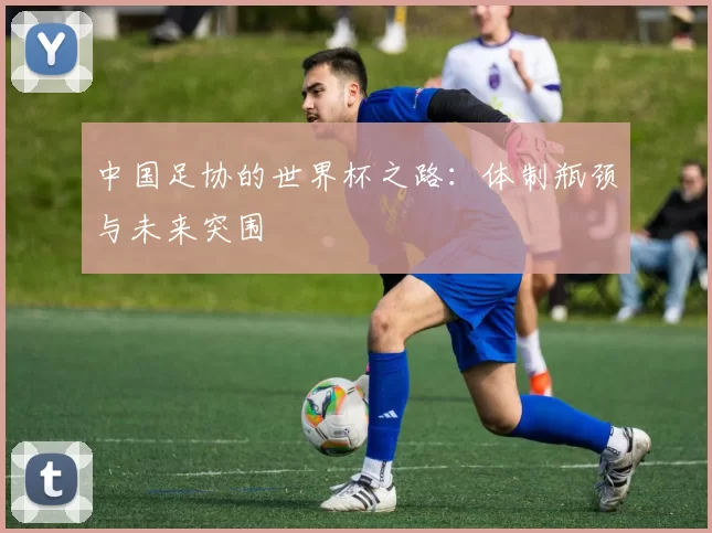 中国足协的世界杯之路：体制瓶颈与未来突围