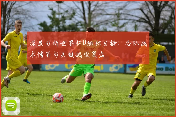 深度分析世界杯D组积分榜:各队战术博弈与关键战役复盘